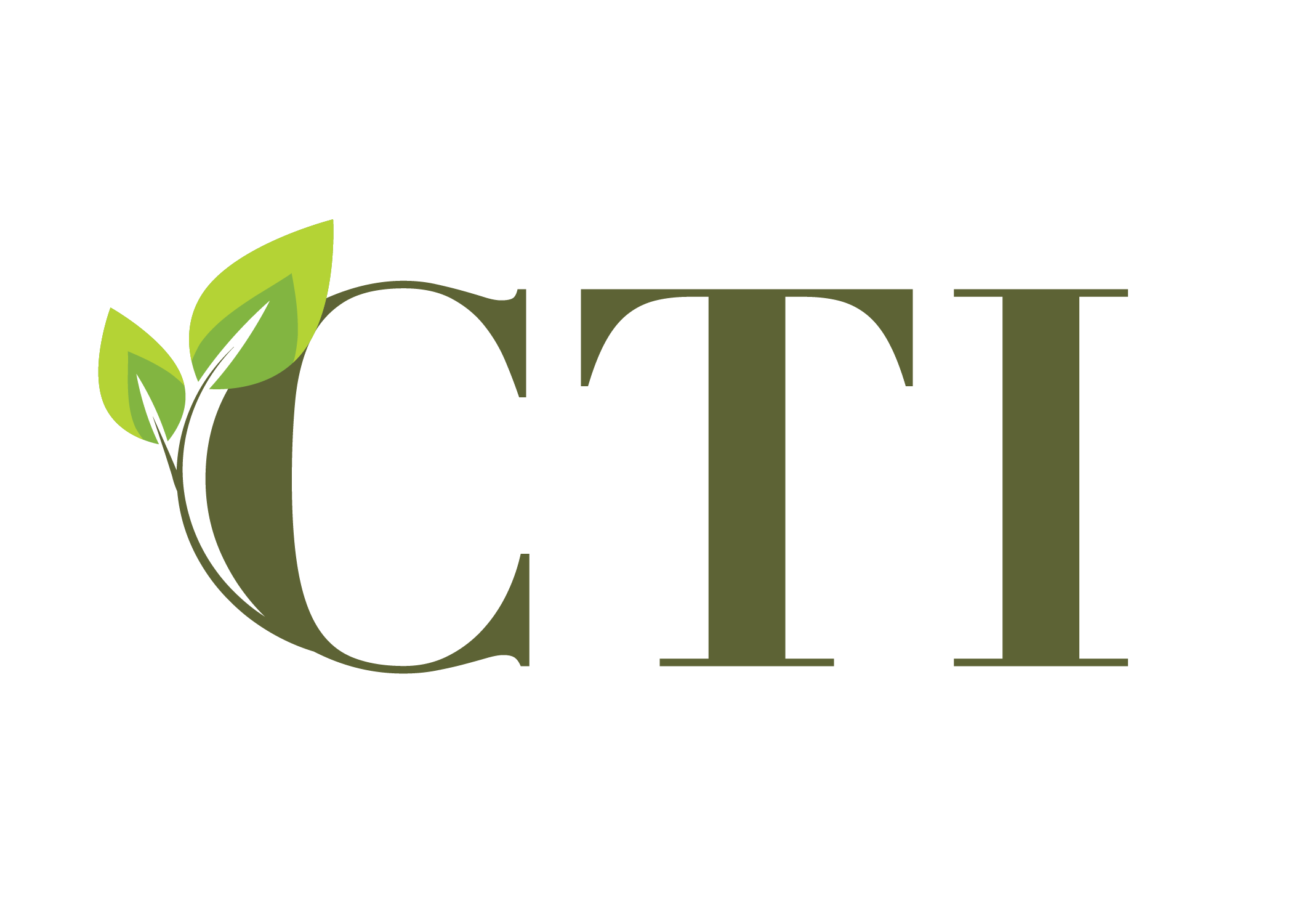 CTI Environmental, Inc.