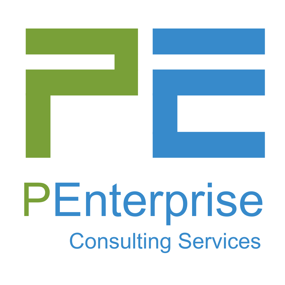 PEnterprise Consulting Services