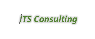 ITS CONSULTING INC