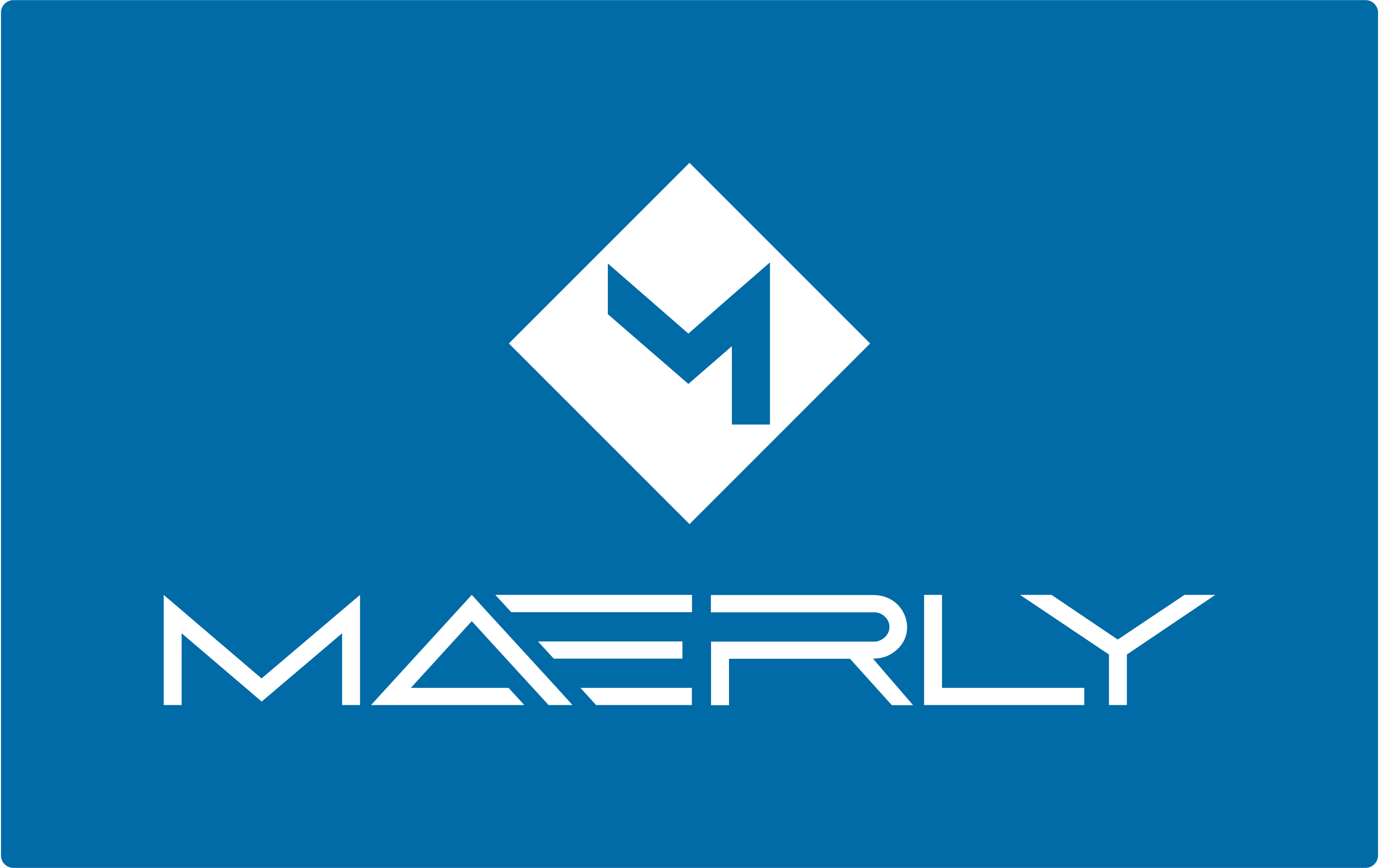 MAERLY LLC